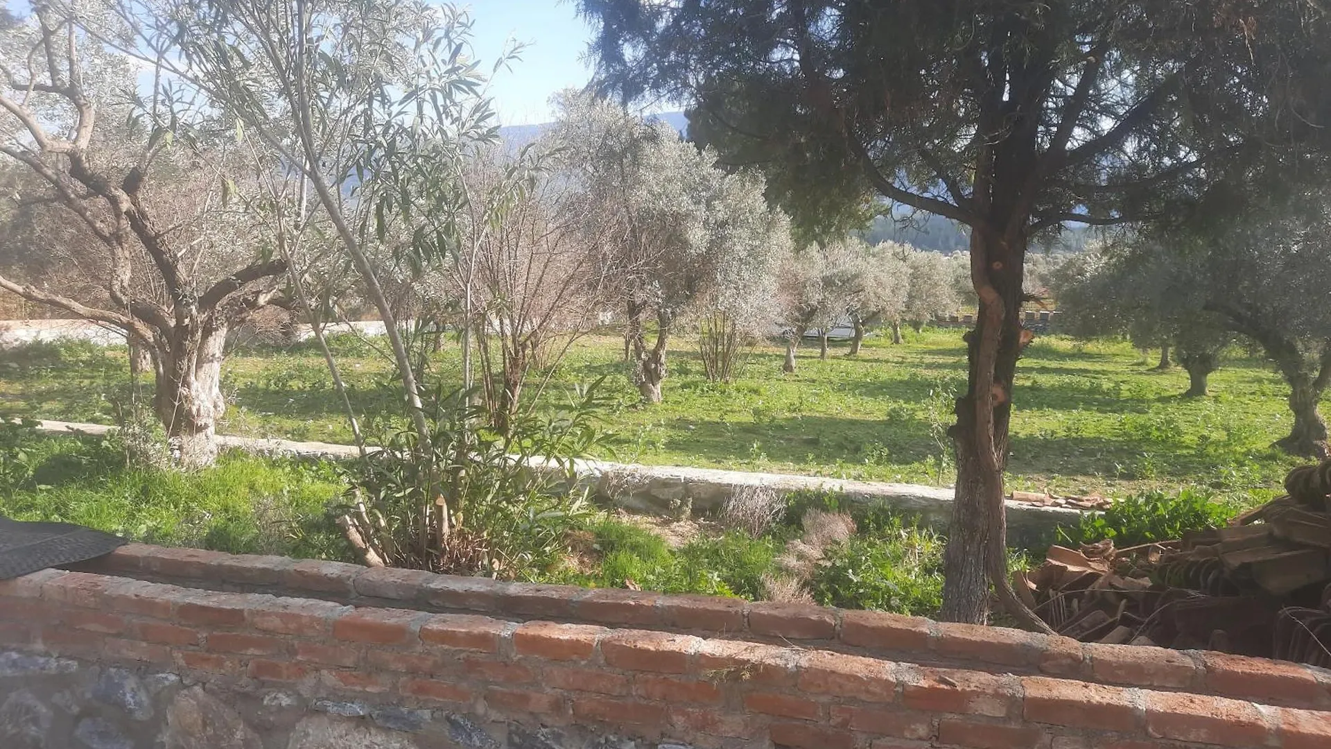 Ali Dede Kamp Karavan Bungalow Selcuk Turkey