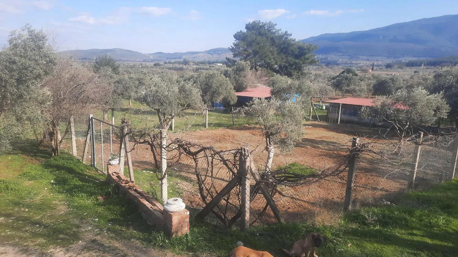 Ali Dede Kamp Karavan Bungalow Selcuk 0*,  Turkey