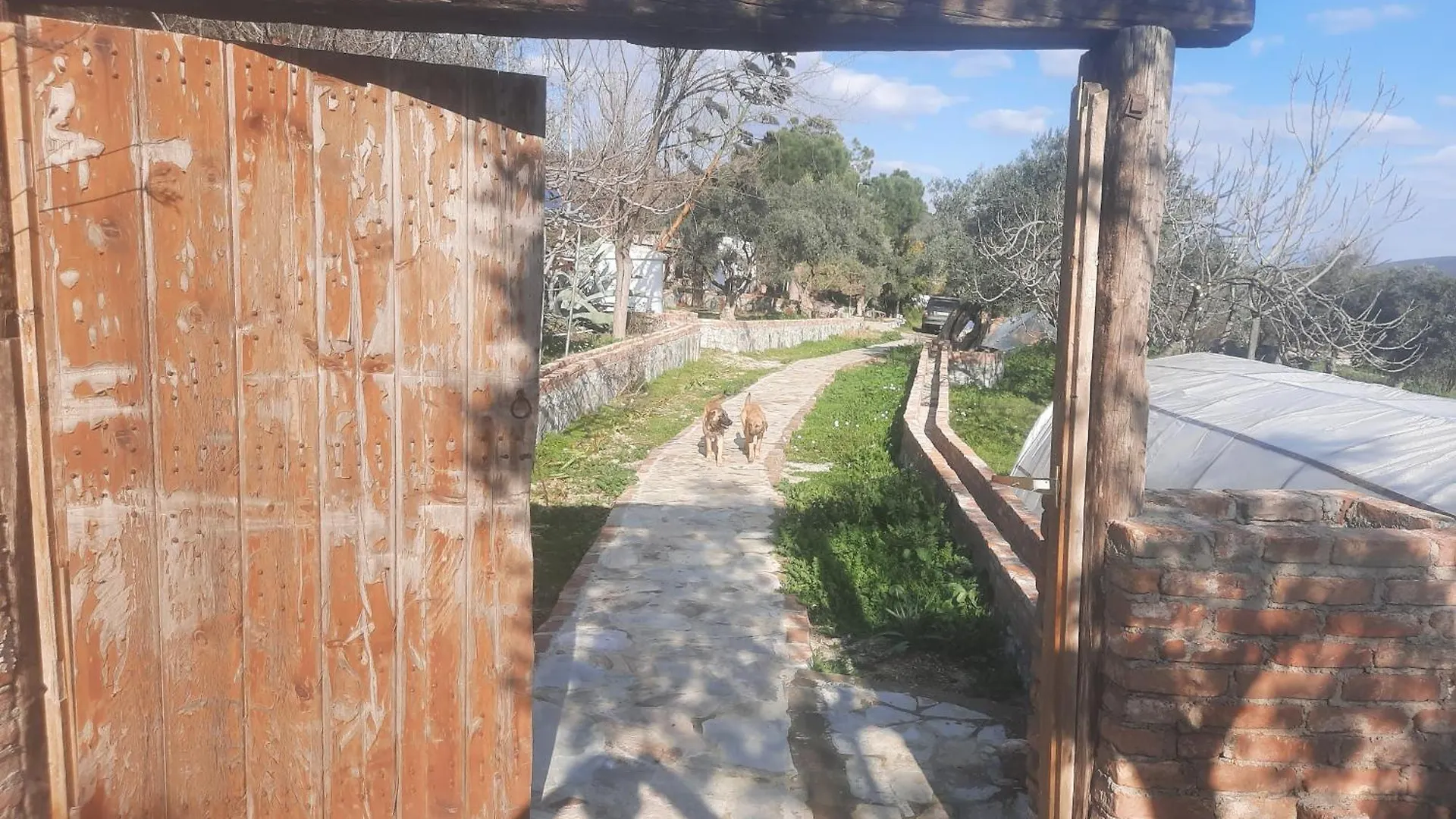 Ali Dede Kamp Karavan Bungalow Selcuk Campsite